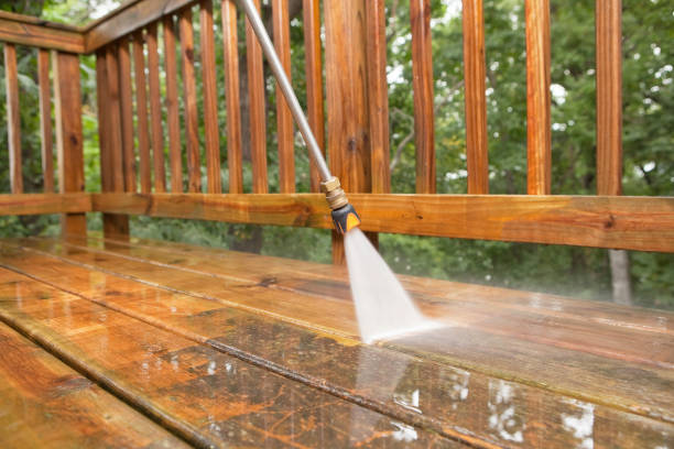 Best Fence Cleaning  in Coalfield, TN